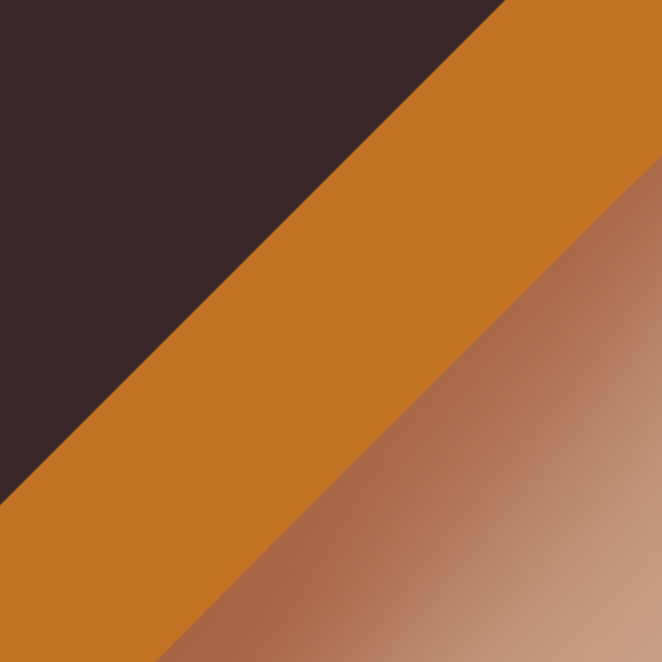 Tortoise/Shiny Gold / Dark Brown