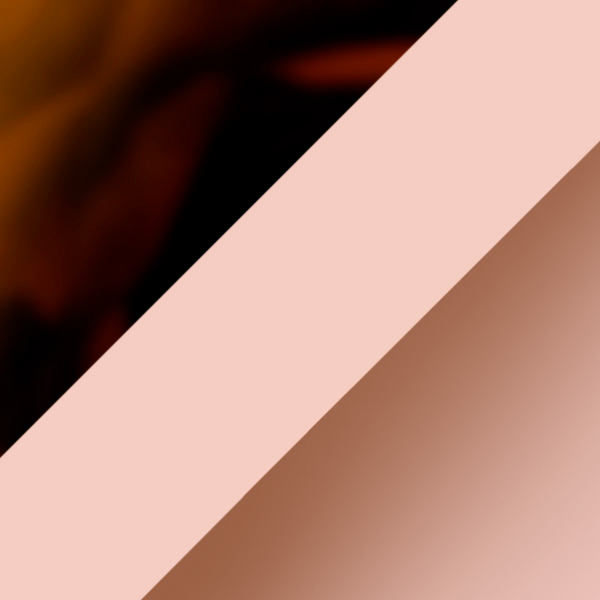 Dark Tortoise/Pink / Brown Pink Gradient