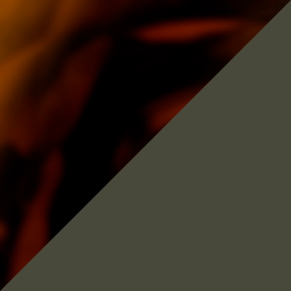 Tuscany Tortoise / G-15 Polarized