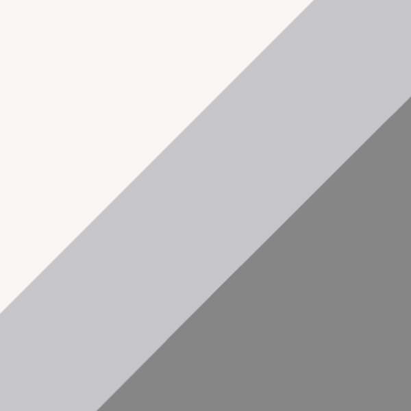 White/Light Carbon / Silver/Gray Mirrored