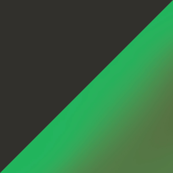 Woodgrain / Prizm Shallow Water Polarized