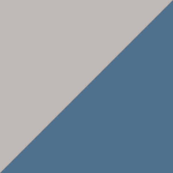 Workman Gray / Blue Polarized