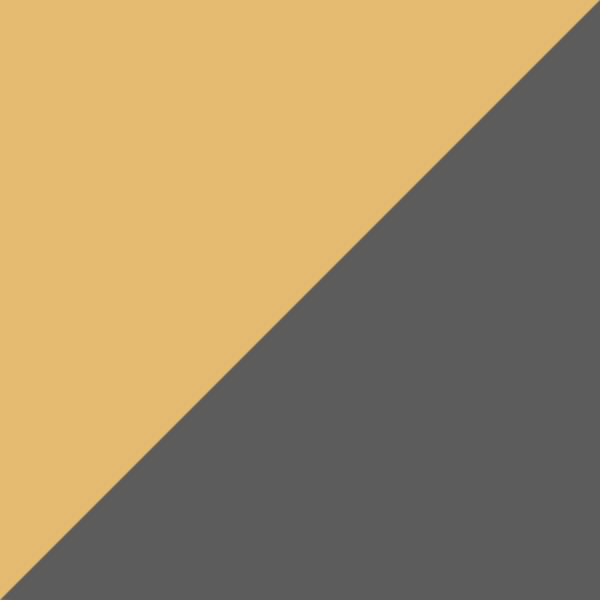 Shiny Yellow Gold / Light Gray Gradient