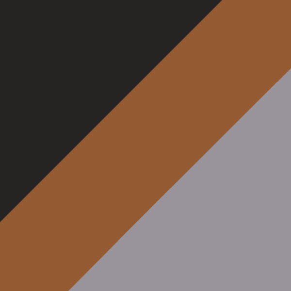 Gray Tortoise/Matte Silver