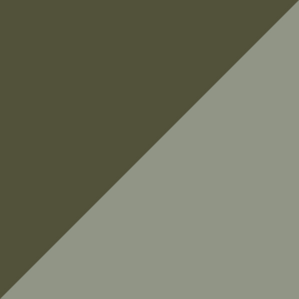 Satin Khaki