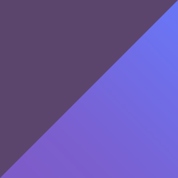 Dark Raisin / Purple Mirrored