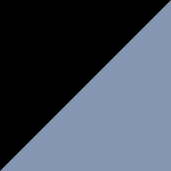 Shiny Black/Eco/T Logo / Polarized Blue