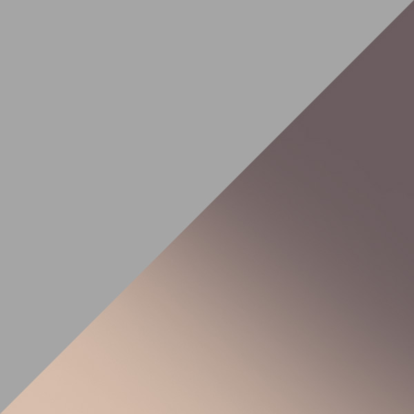 Shiny Gunmetal / Gradient Smoke