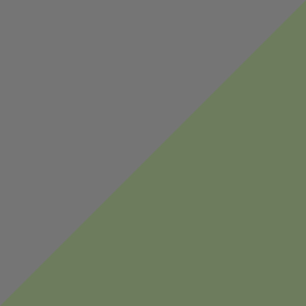 Shiny Gunmetal / Green 08N