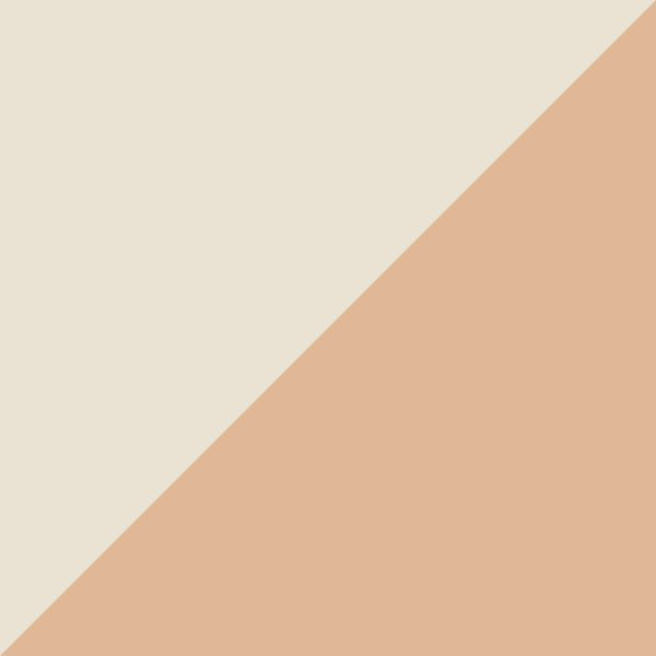 Shiny Beige/Shiny Light Orange