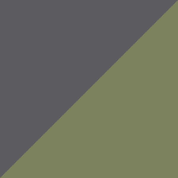 Shiny Gray / Green