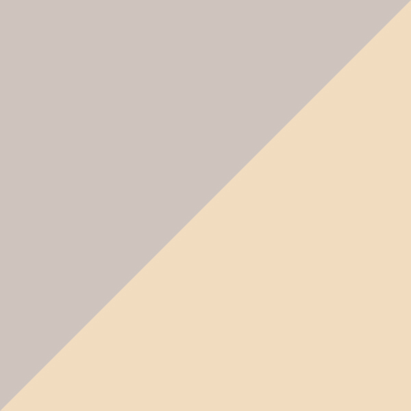 Crystal / Brown Polarized 27H