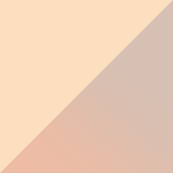 Shiny Rose Gold / Bordeaux Mirrored