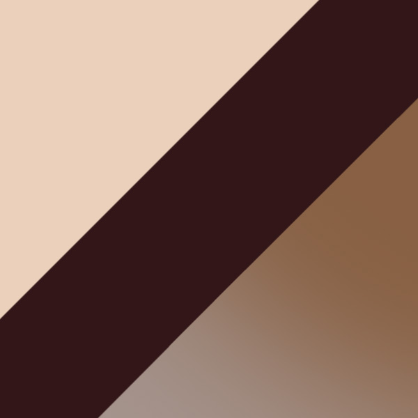 Shiny Light Bronze / Gradient Brown 34F