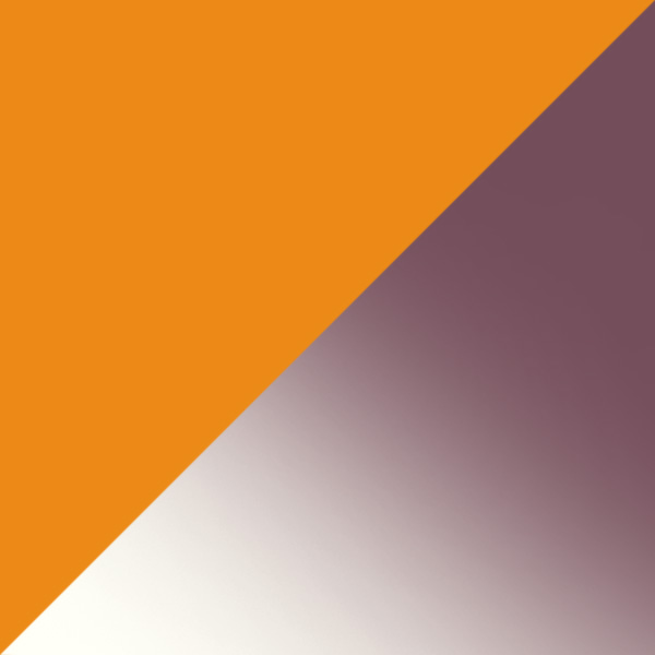 Shiny Dark Orange / Gradient Brown