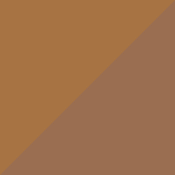 Matte Dark Bronze / Brown Polarized 46H