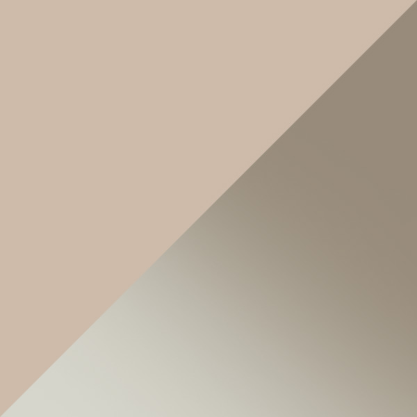 Shiny Transparent Oyster / Gradient Brown