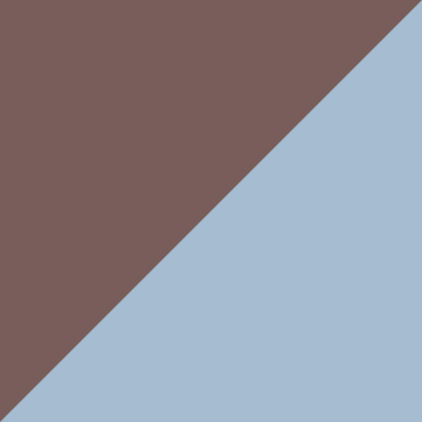 Shiny Light Brown / Blue