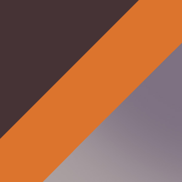 Dark Havana/Shiny Dark Brown / Gradient Smoke