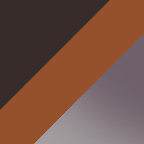 Dark Havana / Green Polarized