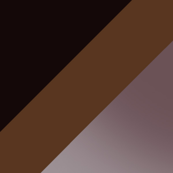 Dark Havana / Bordeaux Mirrored