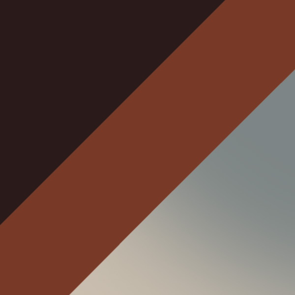 Light Brown/Havana / Brown Polarized