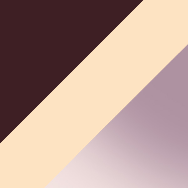 Shiny Vintage Havana To Light Havana/T Logo / Gradient Smoke