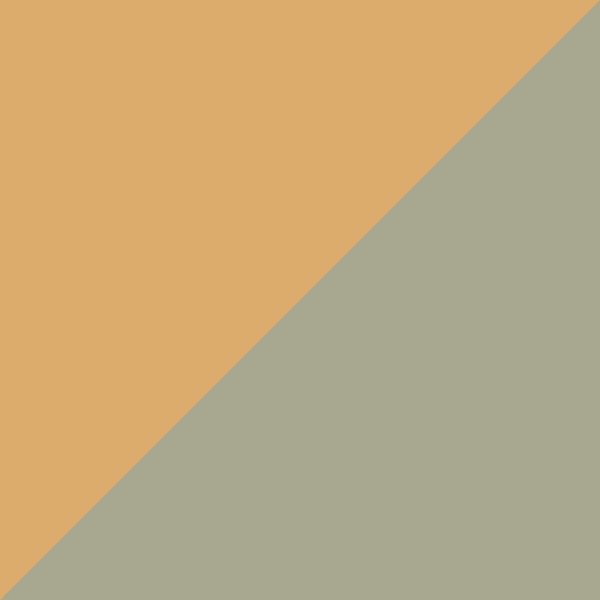 Shiny Beige / Green