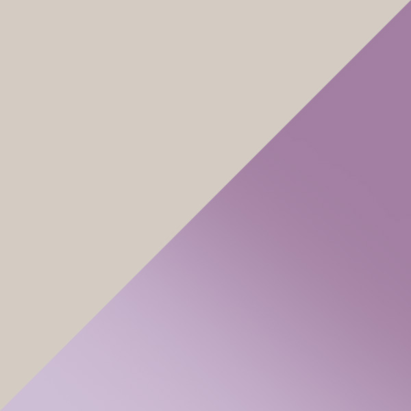 Violet/Havana / Gradient or Mirrored Violet