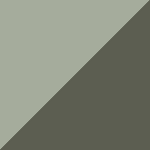 Shiny Light Green / Gradient Smoke 93B
