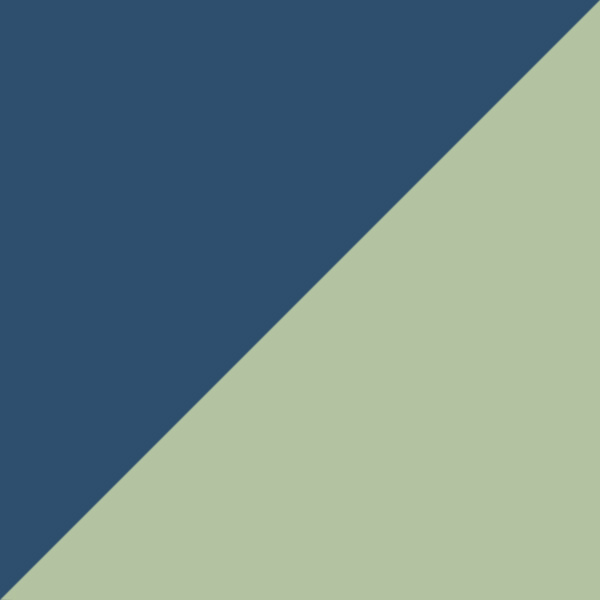 Shiny Deep Gold/Shiny Dark Green / Green