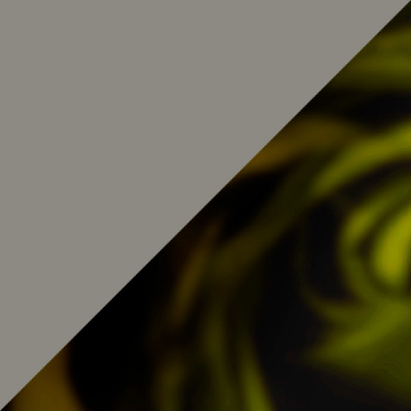 Dark Brown Demi / Gray