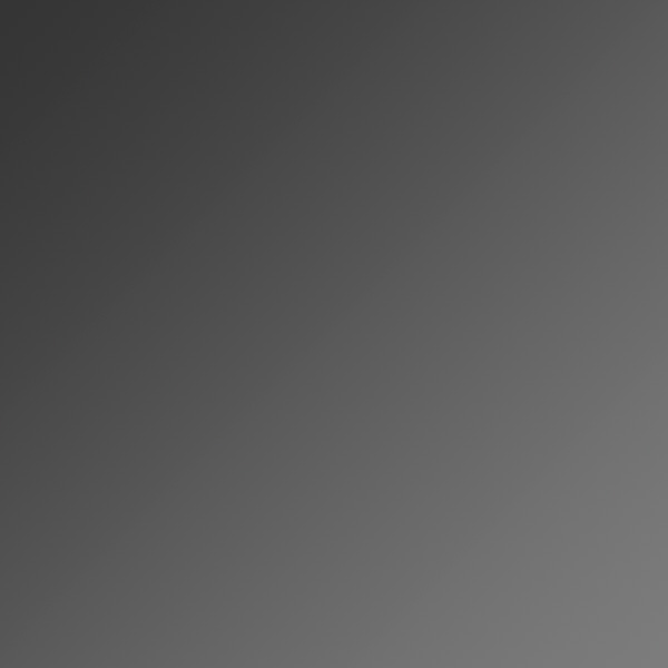 Palladium White/Black / Gray Gradient