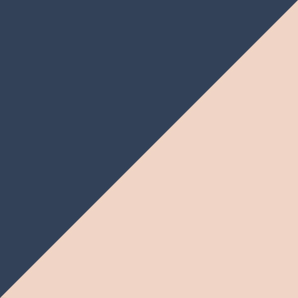 Navy/Rose Gold