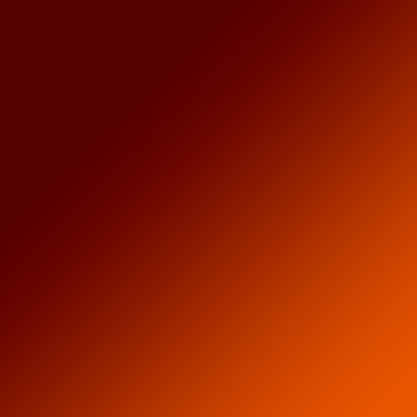 Palladium White / Café Blue