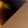 Black with Tokyo Tortoise / HCL® Bronze
