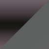 Shiny Dark Ruthenium / Neutral Gray