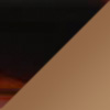 Gloss Cherry Tortoise / HCL® Bronze