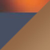 Navy with Tortoise / HCL® Bronze