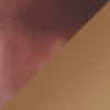 Red Tortoise / HCL® Bronze