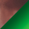 Red Tortoise / MAUIGreen®
