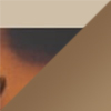 Shiny Dark Havana with Gold / HCL® Bronze