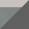 Shiny Transparent Gray with Silver / Neutral Gray