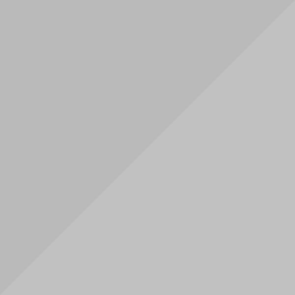 Brushed Light Gun & Polished Light Gun