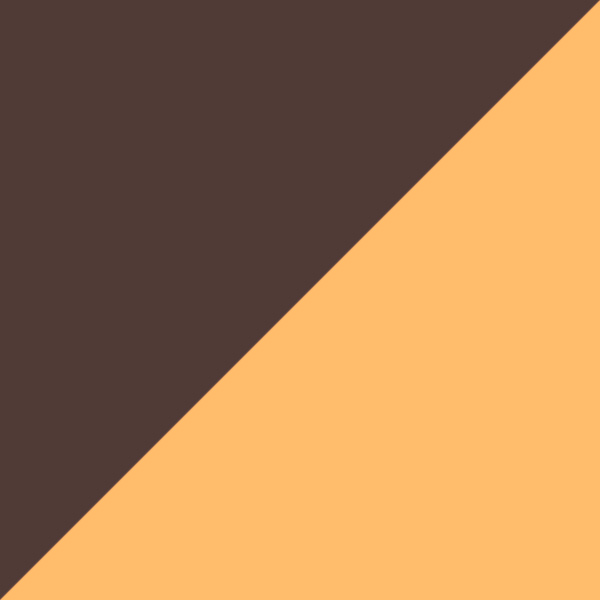 Gray Tortoiseshell/Translucent Orange