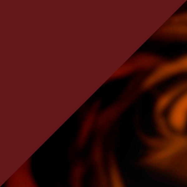 Burgundy/Tortoiseshell