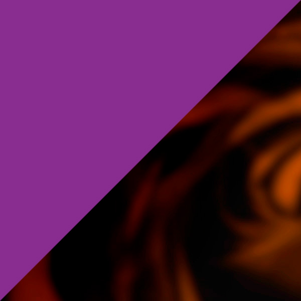 Translucent Purple/Tortoiseshell