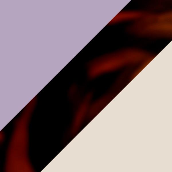 Holographic Violet and Tortoiseshell Eyebrow/Sand