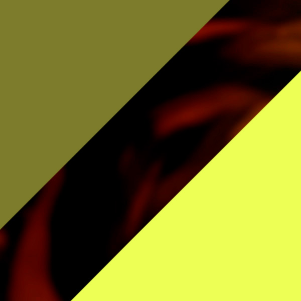 Brown Tortoiseshell and Light Green/Light Green