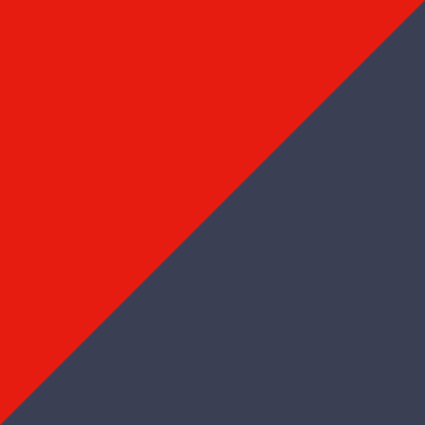 Solid Pewter Gray and Orange/Gray